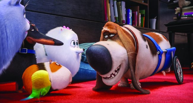 (L to R) Chloe (LAKE BELL), Buddy (HANNIBAL BURESS), Sweetpea (foreground), Norman (CHRIS RENAUD), Gidget (JENNY SLATE) and Pops (DANA CARVEY) in Illumination Entertainment and Universal Pictures’ "The Secret Life of Pets," a comedy about the lives our pets lead after we leave for work or school each day.