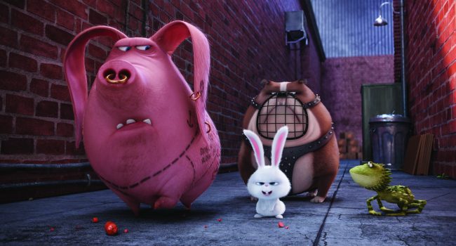 (L to R) Tattoo (MICHAEL BEATTIE), Snowball (KEVIN HART), Ripper and Dragon in Illumination Entertainment and Universal Pictures’ "The Secret Life of Pets," a comedy about the lives our pets lead after we leave for work or school each day.